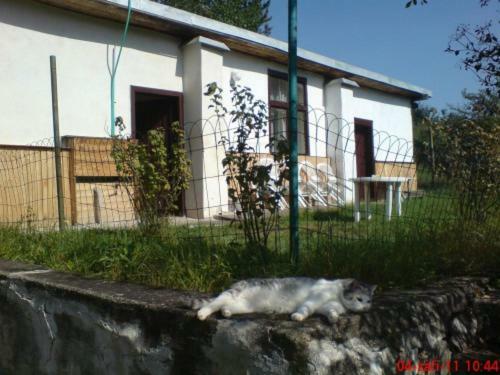 Apartamento Pronájem pokojů Belle Vue Vranov nad Dyjí Exterior foto